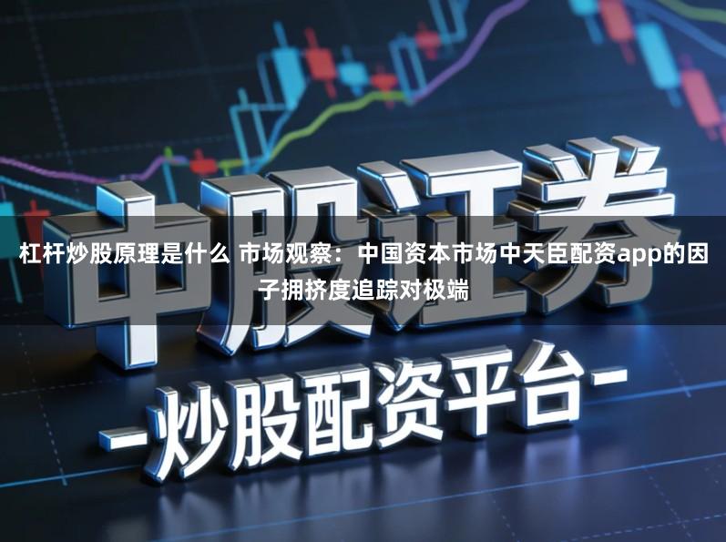 杠杆炒股原理是什么 市场观察：中国资本市场中天臣配资app的因子拥挤度追踪对极端