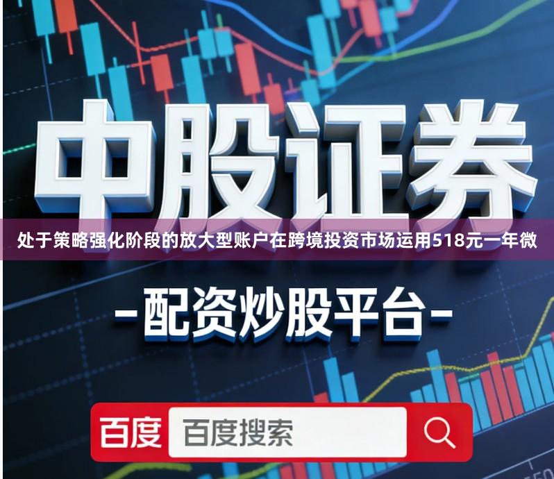 处于策略强化阶段的放大型账户在跨境投资市场运用518元一年微