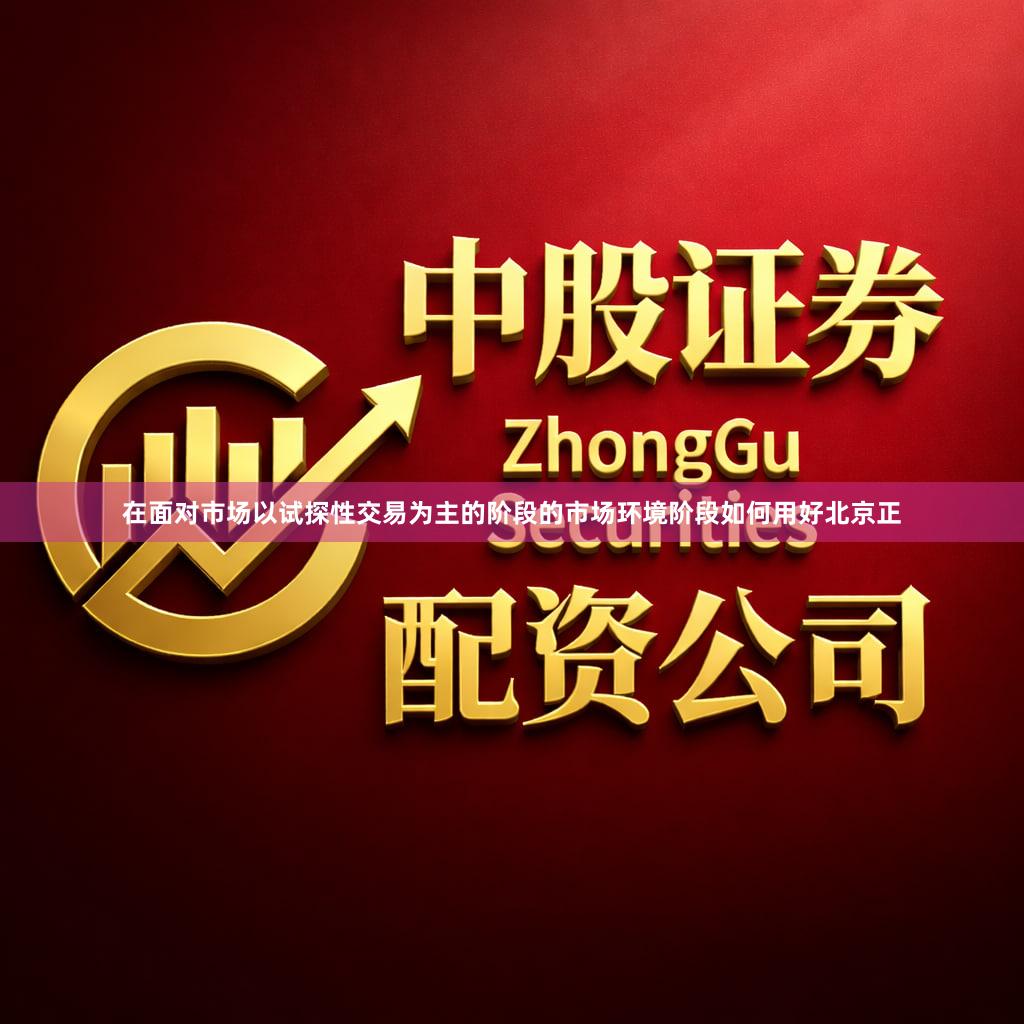 在面对市场以试探性交易为主的阶段的市场环境阶段如何用好北京正