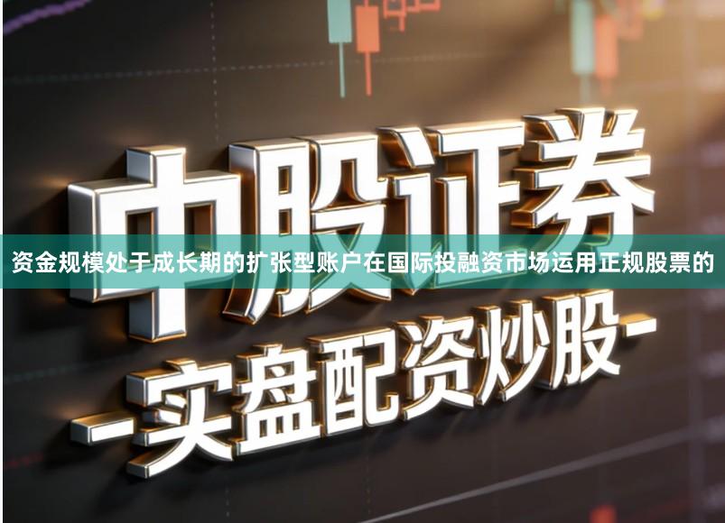 资金规模处于成长期的扩张型账户在国际投融资市场运用正规股票的